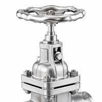Katup Gerbang Berflens Berbahan Logam dengan Dudukan Logam, Dioperasikan Manual, Kelas 150LB, Tipe Z85X-16P CF8 untuk Aplikasi Industri Kimia