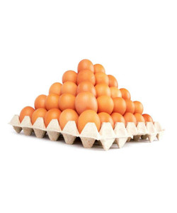 ไข่ไก่สดเกรดพรีเมียมสำหรับขายในราคาส่ง/ ซื้อไข่ไก่สดสำหรับบริโภค สีขาวและสีน้ำตาล - Product Image 2