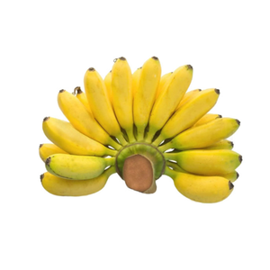 Banane Cavendish jaune Fraîche et sucrée Prête à manger Fruit tropical nutritif - Product Image 4