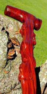 WHAT HANDMADE CARVED WOODEN <b>WALKING</b> <b>STICK</b> Brass Knob <b>Handle</b> Polish Finished Daily Use Cane for Men Women - Product Image 2