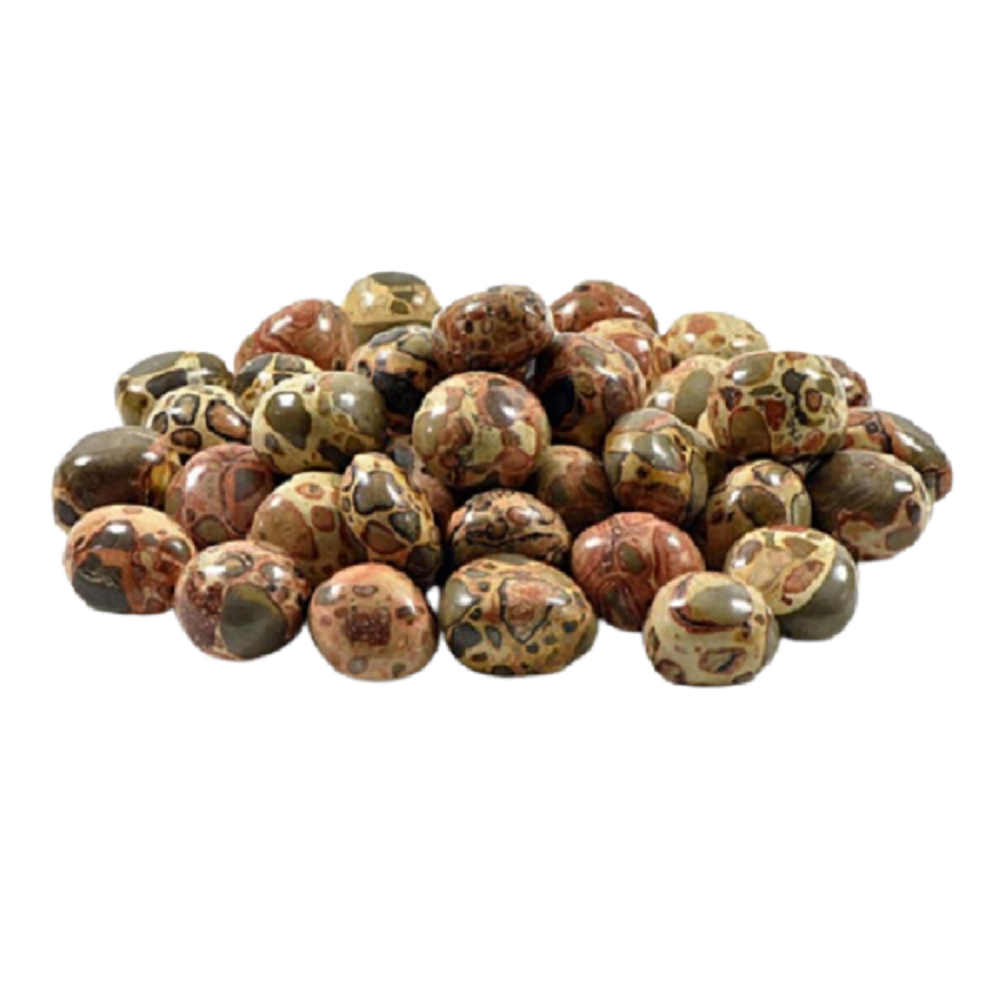 ธรรมชาติ