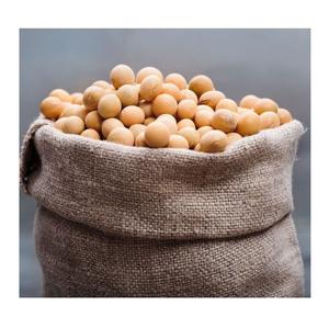 Venta al por mayor de soja orgánica sin gluten de alta proteína a precios baratos. - Product Image 2