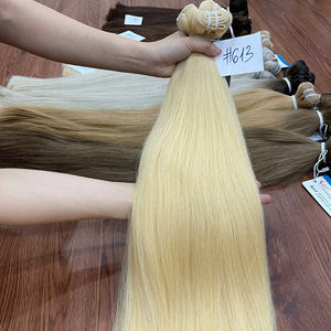 Haute qualité Double dessiné trame cheveux vietnamien Extensions de cheveux humains teints Hairshop couleur cheveux tissage - Product Image 1