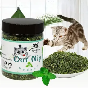 Hierba de Gatos Orgánica 100% Natural de Alta Calidad, Hierba para Ganado, Suministros para Animales Pequeños - Product Image 6