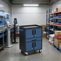 Armoire à outils multifonctionnelle en acier avec revêtement en poudre, avec serrure à clé, rangement moderne pour atelier