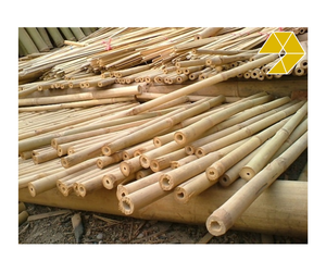 Venta al por Mayor de Varas de Bambú, Materia Prima de Varas de Bambú para Construcción Industrial, Soporte de Jardín, Varas de Bambú de Vietnam - Product Image 1