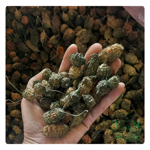 Té de melón amargo seco SALUDABLE-Mezcla refrescante y nutritiva para el bienestar diario - Product Image 2