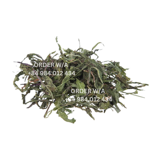 Hojas de diente de león a base de hierbas de calidad más vendida de Vietnam Fruta seca a granel conservada natural para la salud - Product Image 6