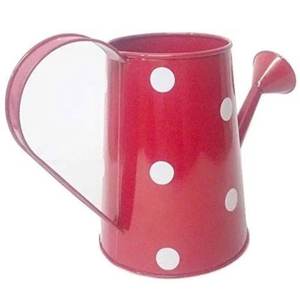 Arrosoir pour plantes et légumes avec poignée, pot d'eau en plastique, en métal galvanisé, à Long bec, pour jardin - Product Image 1