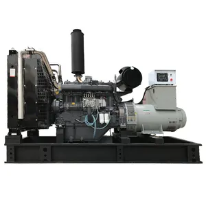 Wudong 750 kW Dieselgenerator leiser elektrischer Gouverneur tragbar offener 3-Phasen-60Hz-Einzelphasen-380V-Maschine Kalt