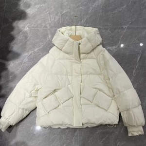 Chaqueta de pato de talla grande para mujer de invierno 2024, Abrigo acolchado suelto corto blanco, capucha de lana gruesa y cálida, estampado de patrón sólido transpirable - Product Image 4