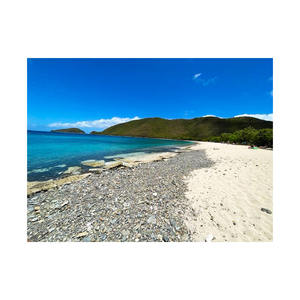 Troncos largos de haya para construcción y fabricación de muebles: suministro a granel a precios competitivos para su próximo proyecto - Product Image 2