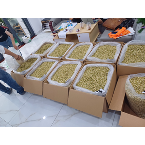 Brotes de jazmín cuidadosamente secos conservados en bolsas transparentes, aroma suave adecuado para hacer té e infusión a través de las estaciones - Product Image 6