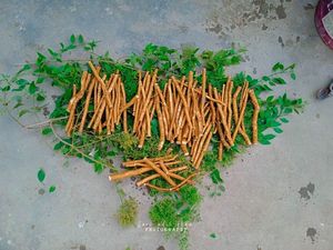 Greenloom แท่งฟันสมุนไพรออร์แกนิคทำจากธรรมชาติทำให้ฟันขาวสุขภาพฟันเป็นมิตรกับสิ่งแวดล้อมทำความสะอาดช่องปาก miswak - Product Image 2