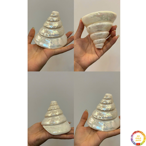 Artisanat de coquillage authentique matériau de coquillage naturel pour la décoration de table art côtier fait à la main Vietnam - Product Image 6