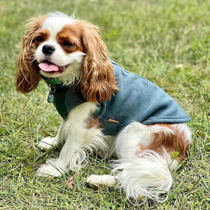 Buen diseño, recién llegado, ropa de invierno, chaquetas para perros, superventas en nuevas existencias, chaquetas para perros - Product Image 5