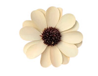 Sola Wood Flower diffuseur de roseau Parfum d'ambiance Fait à la main Sola Flower Echo Friendly Sola Flower Natural to aérer Freshen Reed
