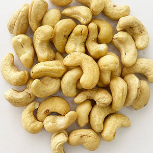 Noix de cajou brutes 100% naturelles W240, faible teneur en matières grasses, fraîches, de haute qualité, noyau, 20 kg, durée de conservation de 12 mois, Tay Ninh, carton Nam Tin Phat, Vietnam - Product Image 1