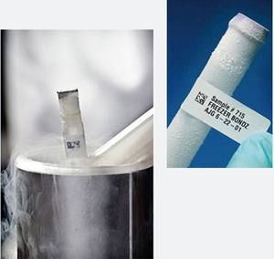 -196 ℃   Etiquetas de Nitrógeno Líquido de Baja Temperatura que No se Despegan para Recolección de Muestras Médicas, Tubos de Centrífuga, Códigos QR - Product Image 2