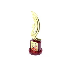 Trofeo de estrella de metal de alta demanda, base de madera elegante, premios corporativos de excelencia para empleados disponibles para exportación, precio competitivo - Product Image 2