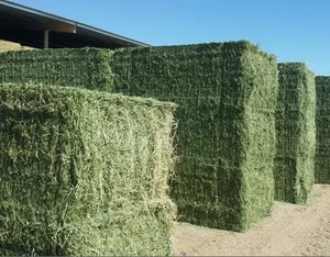Granulés de foin d'alfalfa et foin de timothée - Alimentation animale de qualité alimentaire, durée de conservation de 24 mois, 5% d'humidité, fabricant néerlandais, vente en gros - Product Image 6