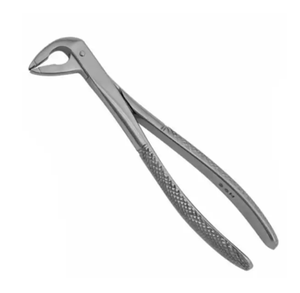 คีมคีบคาวฮอร์นเครื่องมือผ่าตัดทางทันตกรรม - Product Image 2