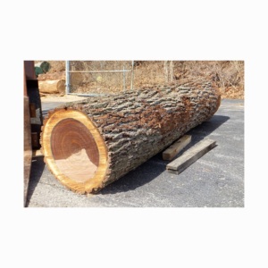 Tronco de madera aserrada de calidad (Pino, álamo, abedul, playa, nogal, rosa) Compre troncos de nogal de alta calidad Compre madera de nogal de alta calidad en - Product Image 6