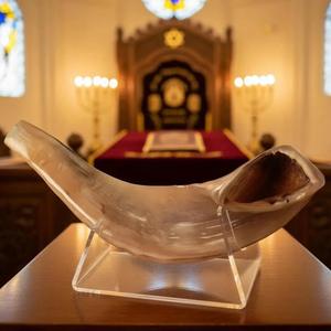 Polished Natural <b>Sheep</b> Ram Shofar Horn-Eco-Friendly Religious Home Decor High Quality - Product Image 4