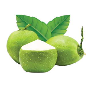 มะพร้าวสีเขียวสดจากเวียดนามผลิตภัณฑ์มะพร้าวหนุ่มส่งออกสินค้าเวียดนาม2023พรีเมี่ยม - Product Image 2