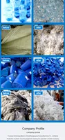 Ligne de recyclage de bouteilles en plastique usagées, séparateur d'étiquettes PET, contrôle automatique, lavage, séchage, caractéristiques, machine de recyclage à lavage à chaud