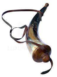 Poudre de corne de buffle de qualité supérieure, consistance lisse et fine, source naturelle, poudre de corne de buffle en vrac, usage industriel - Product Image 5