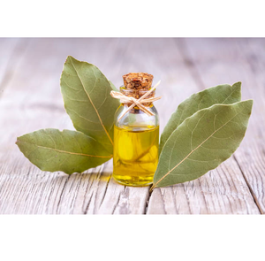 น้ำมันหอมระเหยลอเรลบริสุทธิ์สกัดเย็นจากสมุนไพรธรรมชาติสำหรับการสนับสนุนระบบทางเดินหายใจและการรักษาสุขภาพ - Product Image 2
