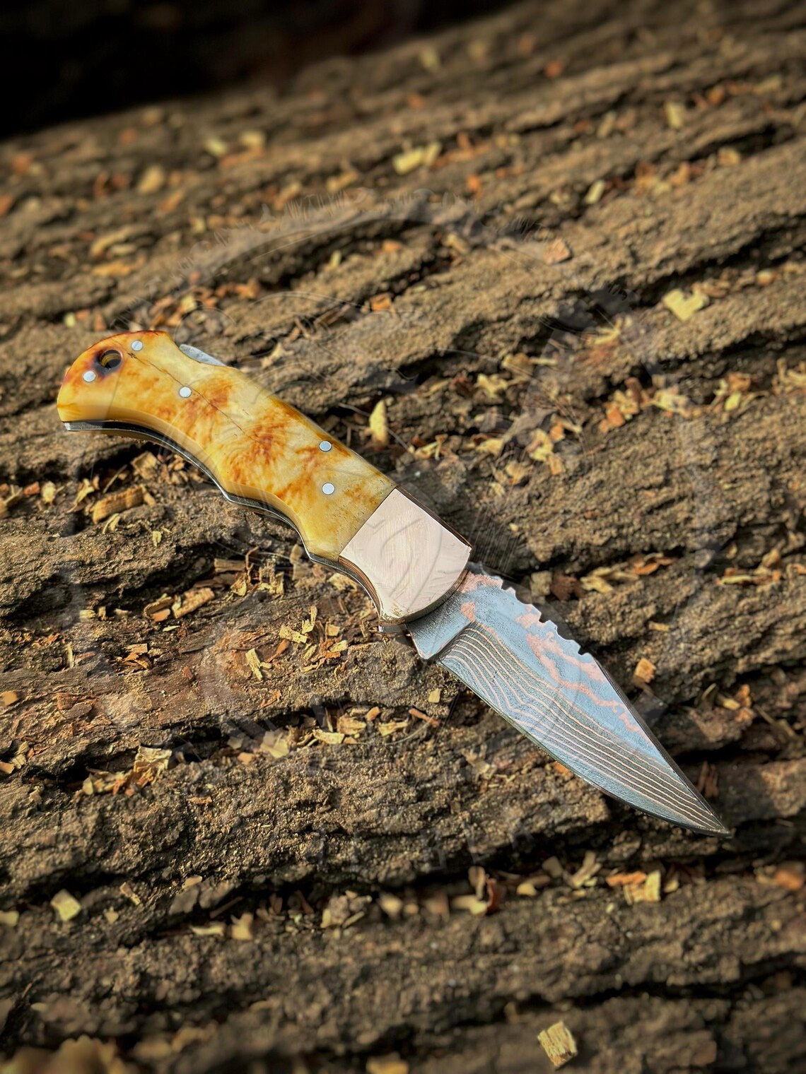 Camel Bone Burn