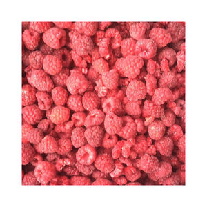 Entrega rápida Frozen Raspberry con color consistente y acidez - Product Image 2