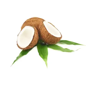 น้ำมันมะพร้าวสกัดเย็นออร์แกนิกบำรุงและซ่อมแซมพืชน้ำมันบริสุทธ์ - Product Image 3