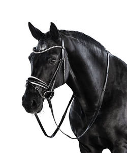 Brevet essentiel Snaffle Bridle Good Fancy Material Coffee Color ensemble complet Outdoor Comfort Fancy - Product Image 2