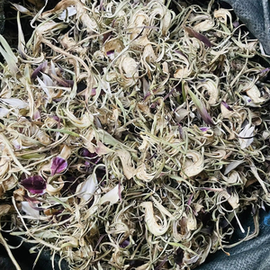 Fleur d'artichaut séchée de qualité supérieure du Vietnam pour les mélanges de tisanes et les décorations de boissons florales dans les cafés et les bars à jus haut de gamme - Product Image 5