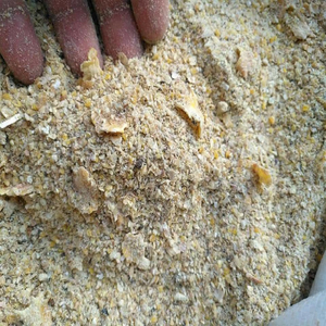 Harina de Soja para la Industria Alimentaria – Exportación a Granel y Suministro al por Mayor - Product Image 3