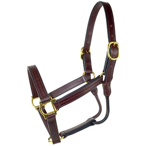 Custom New Design Horse Fancy <b>Stitched</b> Leather Halter <b>Product</b> Manufacturers High Equestrian Horse Riding Equipment OEM Halters - Product Image 4