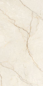 Carreaux à jet d'encre numérique haute résistance entièrement polis émaillés vitrifiés 60X120CM Porcelaine Chine Tuiles d'impression antiques pour urinoir wc. - Product Image 3