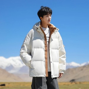 2024 Otoño/Invierno nueva tendencia chaqueta acolchada para hombre chaqueta cálida de plumón de pato blanco con cuello levantado tela de lona de estilo callejero - Product Image 4