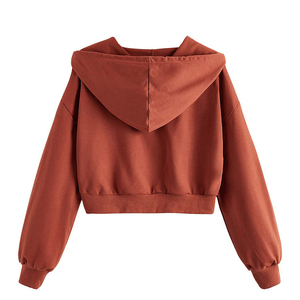 Custom 3D Puff Print Cotton Polyester Fleece Women's Winter Hooded Pullover Front OEM Logo Unisex Streetwear Eco Friendly hoodie - Product Image 2