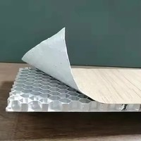 Panneaux sandwich en nid d'abeille en aluminium de haute qualité pour la construction de salle de bain intérieure d'hôtel pour une excellente ignifugation