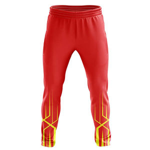 Uniformes de cricket personnalisés de haute qualité, légers, respirants, écologiques, impression numérique, maillots en polyester, vêtements de sport - Product Image 3