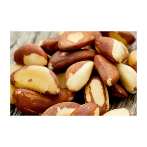 Nueces brasileñas frescas de fábrica ofrecidas para comercio al por mayor y reventa - Product Image 3