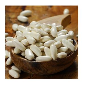 Haricots blancs secs crémeux pour la cuisine italienne, maintenant disponibles à la vente - Product Image 3