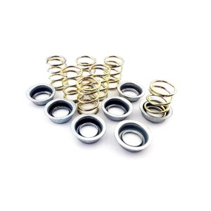 Kit de ressorts d'embrayage en métal renforcé Pinasco pour transmissions de moto, fabriqué en Italie - Product Image 1