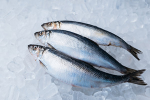 Vente en gros de hareng congelé de qualité supérieure, de qualité premium, procédé BQF, poisson entier - Product Image 3