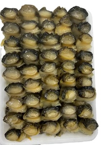 Artichauts Séchés Salés et Aigres IQF Multi-Couleurs de Qualité Supérieure, 25kg, Emballage en Sac, France - Product Image 3