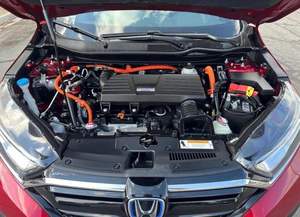 Bien cuidado, limpio, 2023 Hond-A, a, a, - Product Image 5